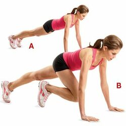 माउंटेन क्लैम्बर