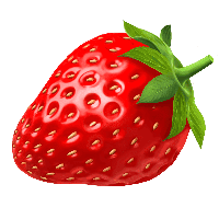 Fresa