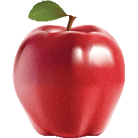 Apel