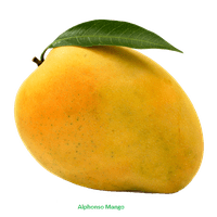 مانجو