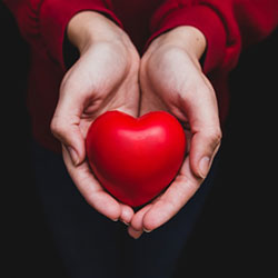 Heart