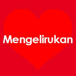 Mengelirukan