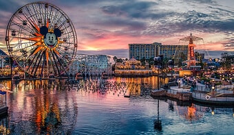 Disney Land